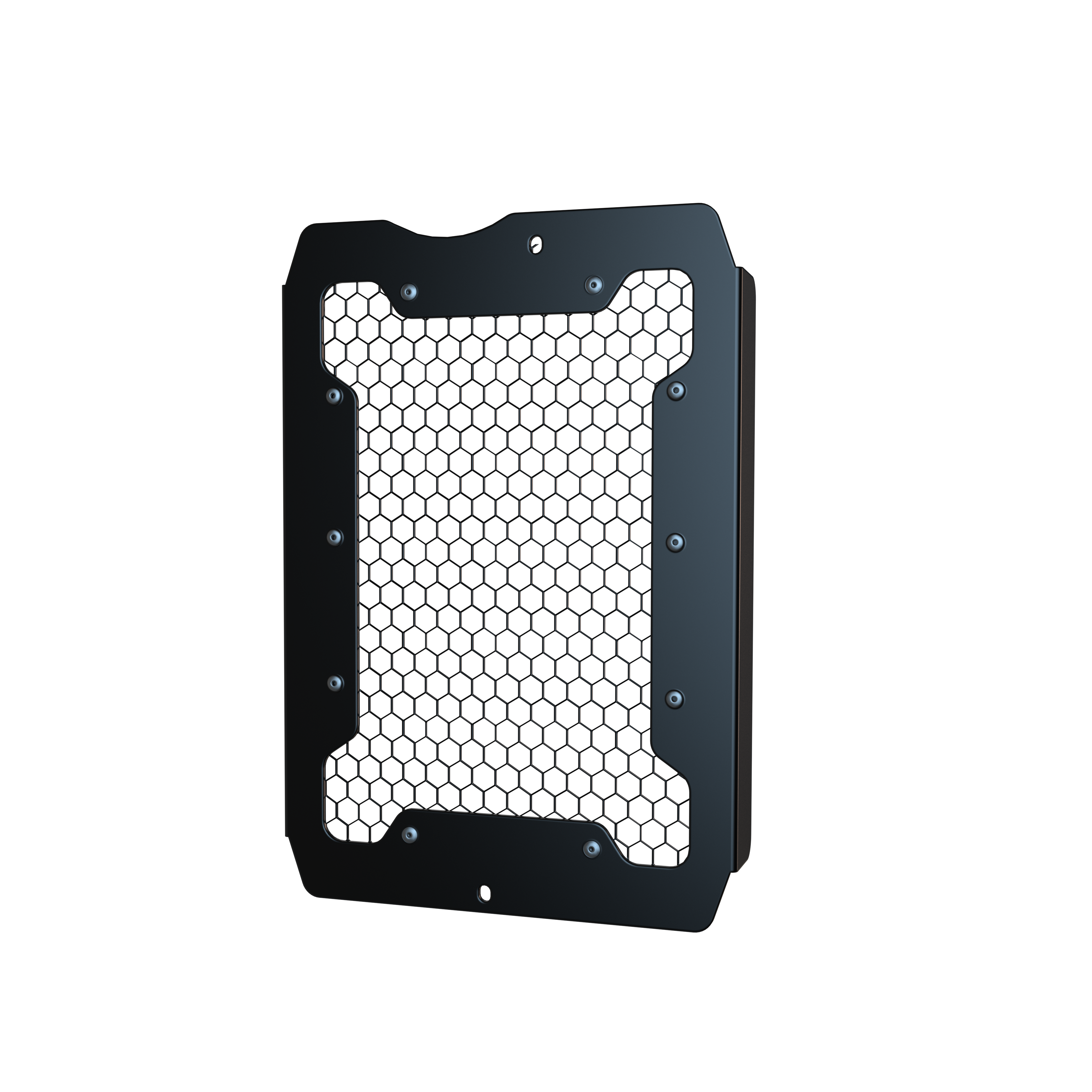 Triumph Scrambler 400 X / Speed 400 Radiator Guard